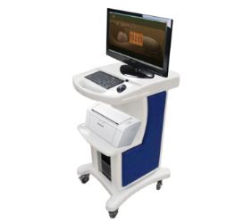 ���t(y��)�w�|(zh��)�W(xu��)�đ�(y��ng)��